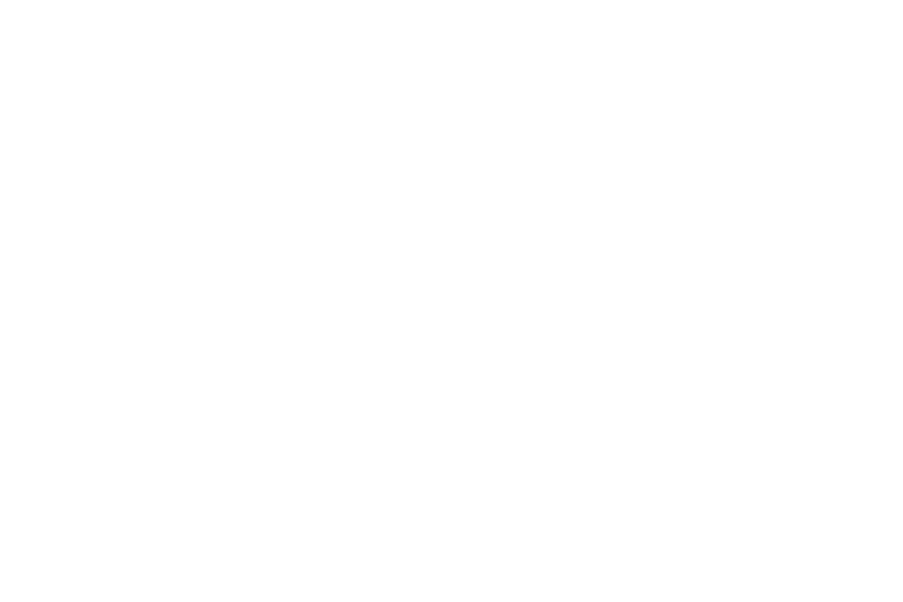 Geek Vault logo